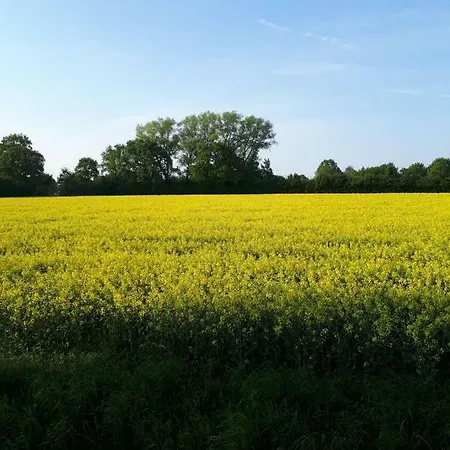 Nicki's Ferien Oase *