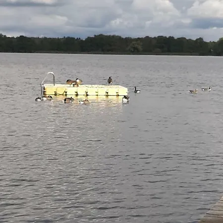 Nicki's Ferien Oase *