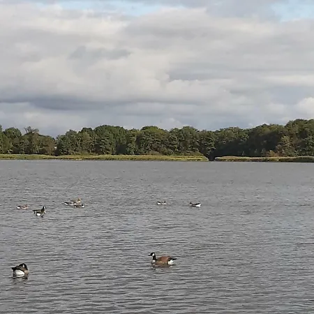 Nicki's Ferien Oase *