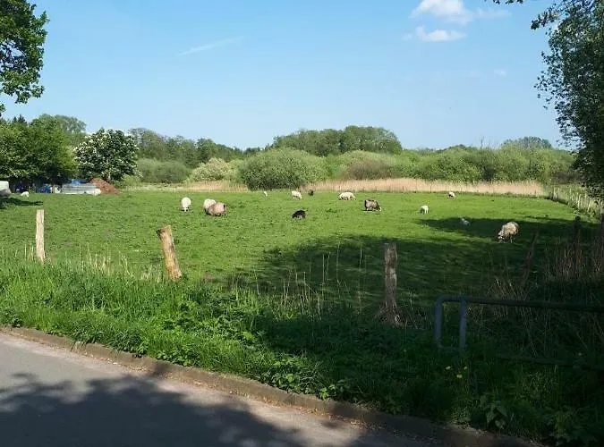 Nicki's Ferien Oase Bornhoved