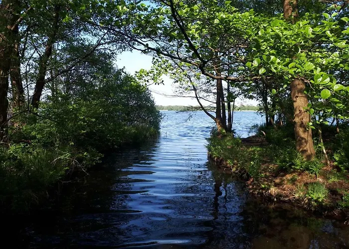 Nicki's Ferien Oase *