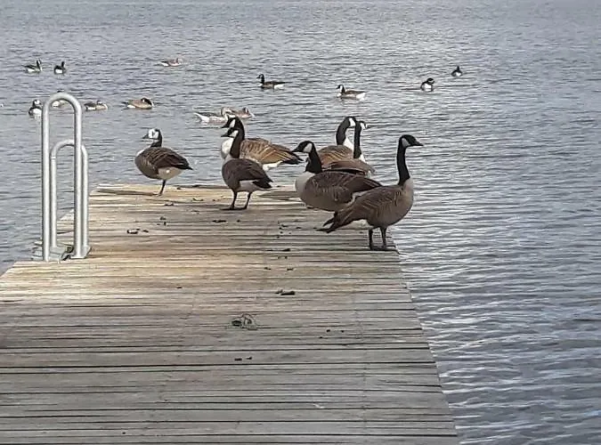 Nicki's Ferien Oase Ferienhaus