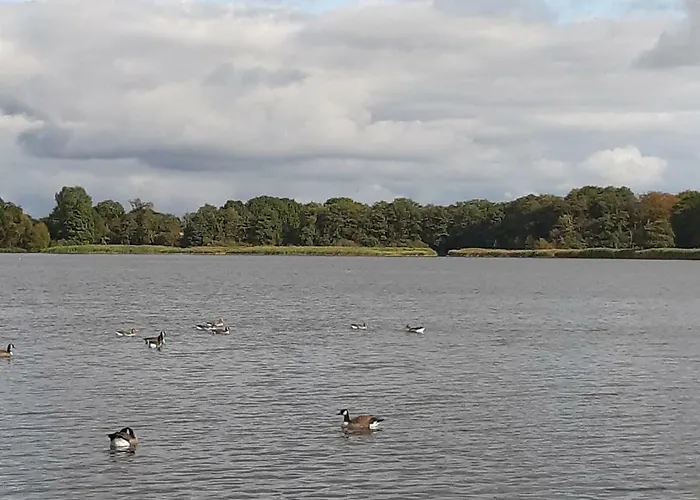 Nicki's Ferien Oase *